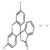 Fluorescein sodium CAS:518-47-8