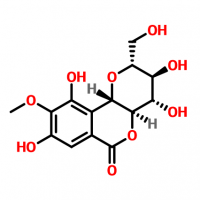 Reasonable Price High Purity Bergenia Extract Powder/ Bergenin CAS 477-90-7