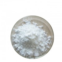 Manufacturer Supply CAS 541-15-1 High Quality 99% Food Grade Additive L Carnitine