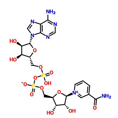 Hot Selling !!! CAS 53-84-9 Nicotinamide adenine dinucleotide / Beta NAD with Reasonable Price